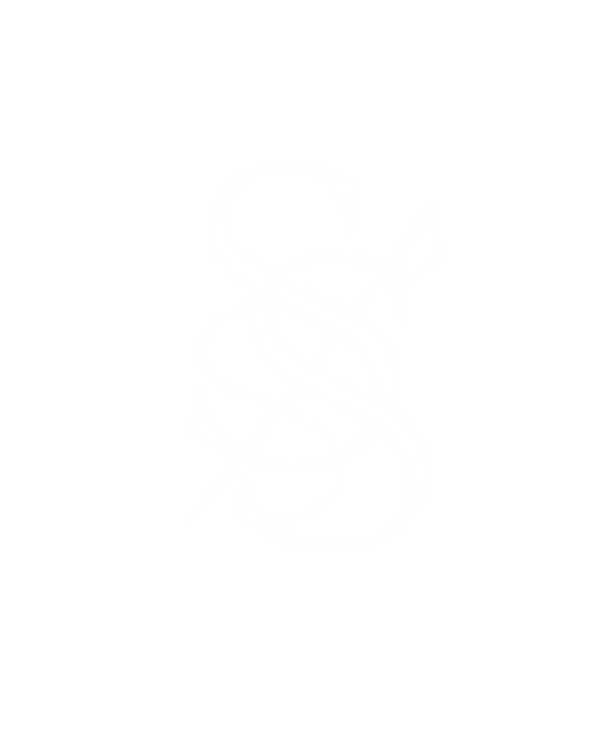 ShadowStitch